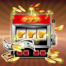betin wim